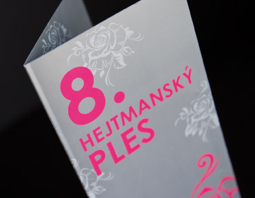 Liberecký kraj – 8. hejtmanský ples